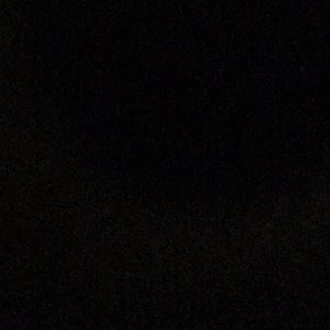 Meet your Posher, Max